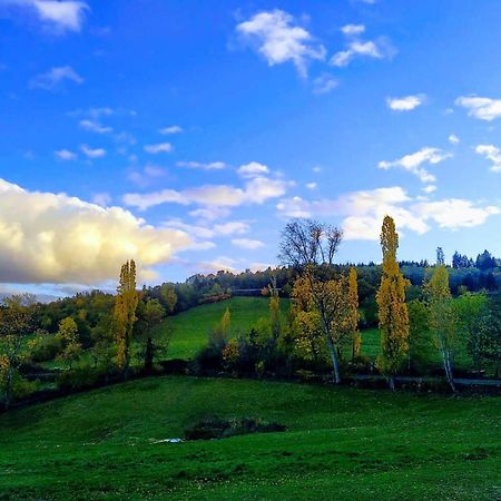 La Ferme Des Galoches Bed & Breakfast Villemontais ภายนอก รูปภาพ