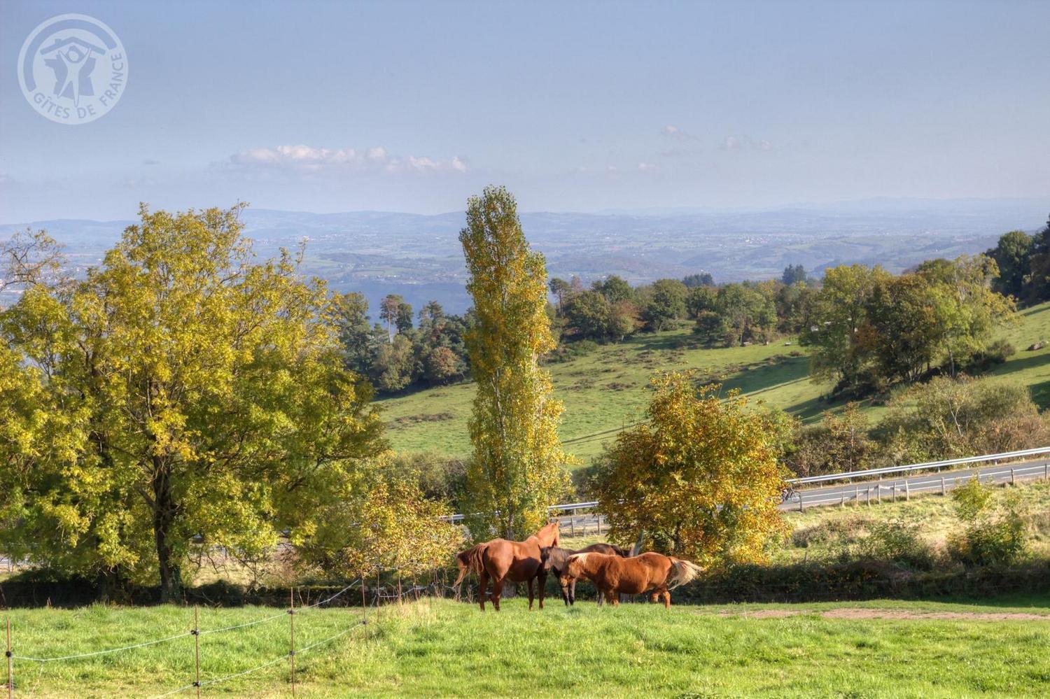 La Ferme Des Galoches Bed & Breakfast Villemontais ภายนอก รูปภาพ